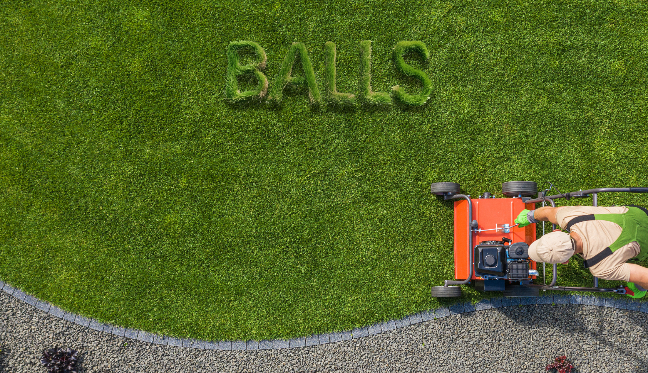 Father_s_Day_Lawn_BG_2205_x_1272_px_ec531e01-f81e-4a7b-80a1-d79b74515b0a.png