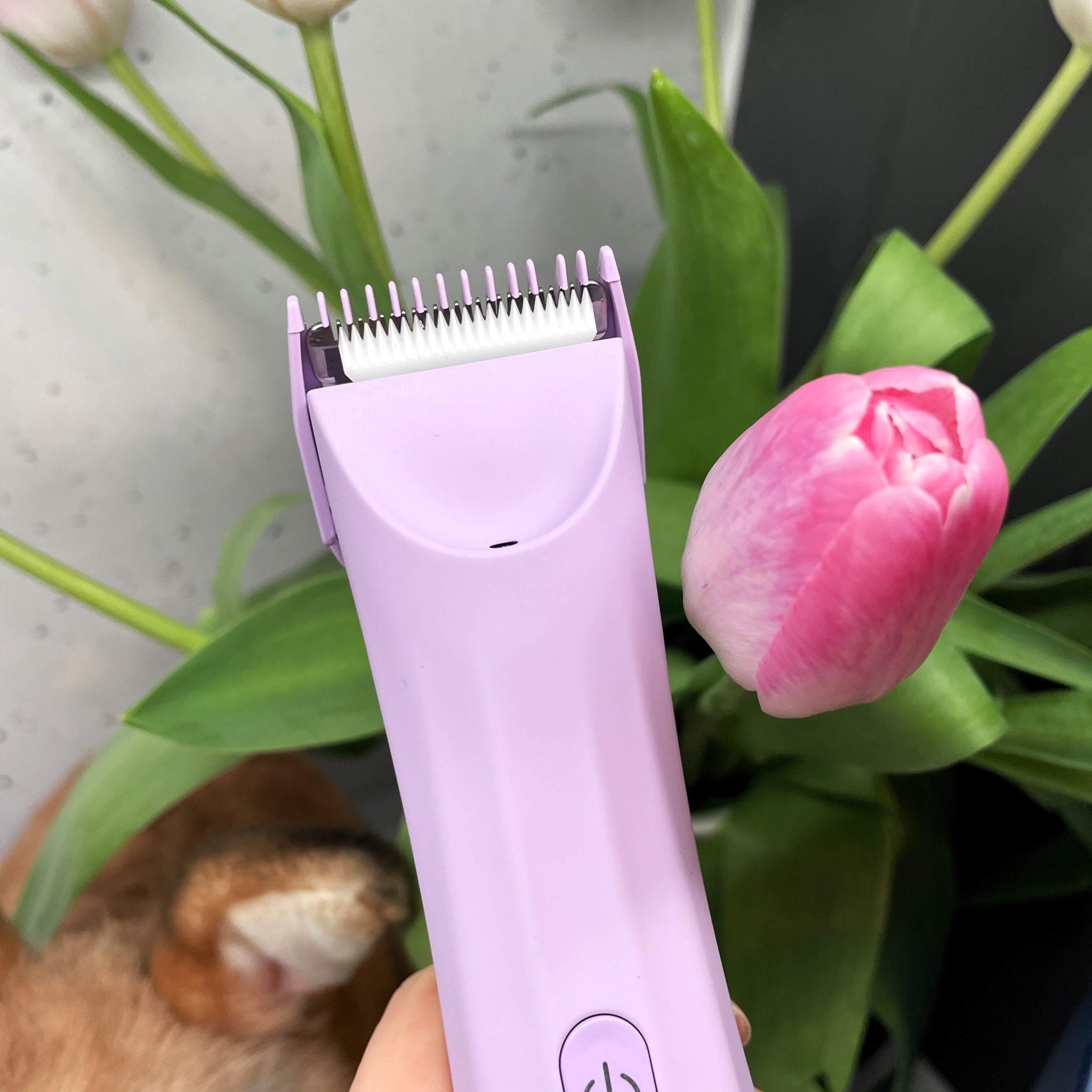 The Archibald Trimmer for Her - BALLS